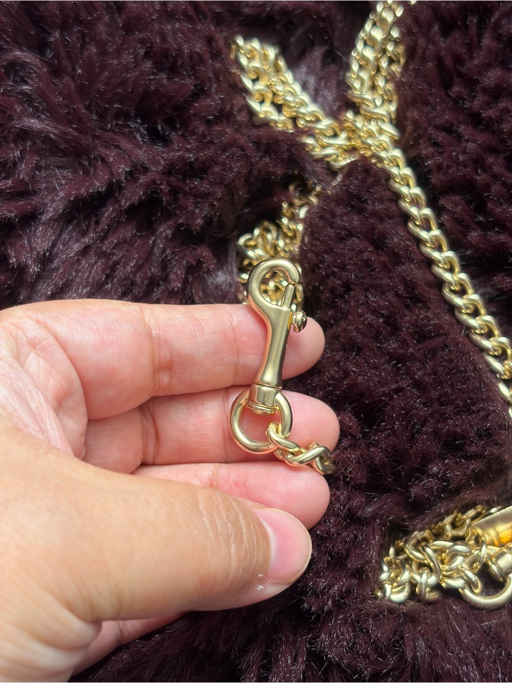 Coach Chain Strap - Picture 3 of 6